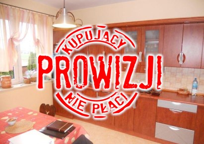 dom na sprzedaż - Łysomice