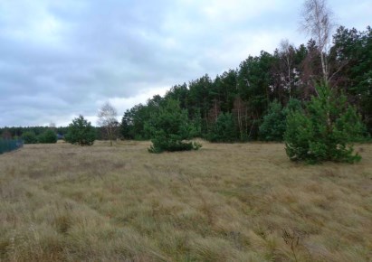 działka na sprzedaż - Zławieś Wielka, Rozgarty