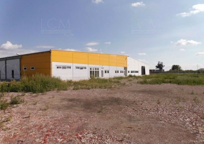 hala na wynajem - Wielka Nieszawka