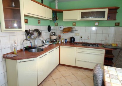 dom na wynajem - Łysomice