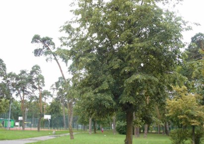 mieszkanie na sprzedaż - Toruń, Bydgoskie Przedmieście